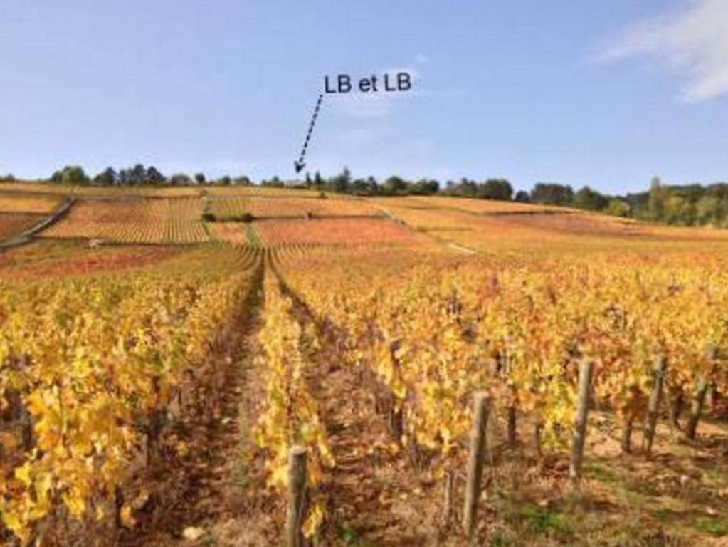 Bed and Breakfast Lb Et Lb Beaune  Exteriér fotografie